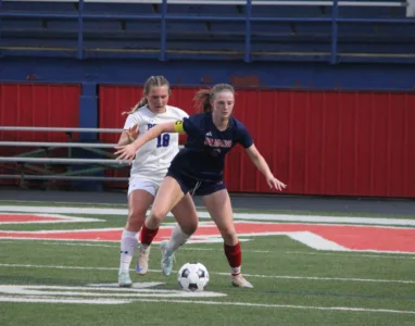 Niles wins battle between top area teams, down Poland, 5-1